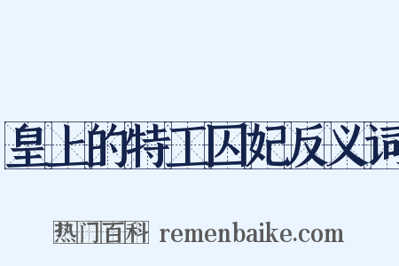 皇上的特工囚妃反义词是什么意思的图片